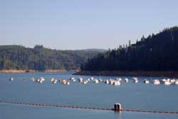 Bullards Bar Reservoir