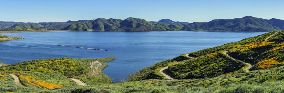 Diamond Valley Lake Fishing