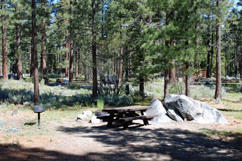 Fallen Leaf Lake Campground,  CA