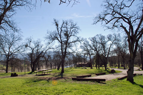 New Hogan Lake  Campground, California