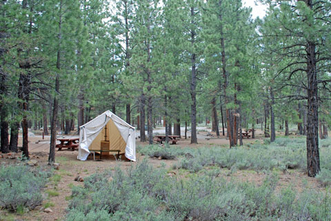 Logger Campground, Stampede Reservoir,  California