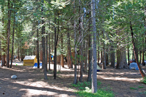 Pinecrest Campground, Pinecrest Lake, Tuolumne County, California
