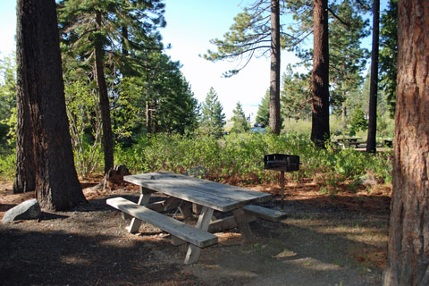 Tahoe SRA Campground, Lake Tahoe, Placer County, California